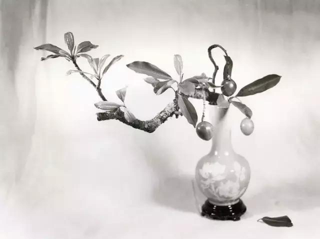 这才是真正的中国风,这才是真正的中国风古装