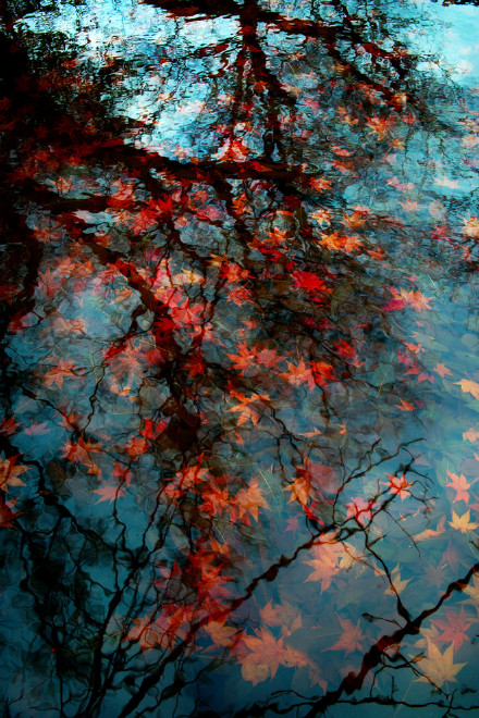 哀莫过于心死苦莫过于心寒图片,哀大莫过于心死悲大莫过于无言