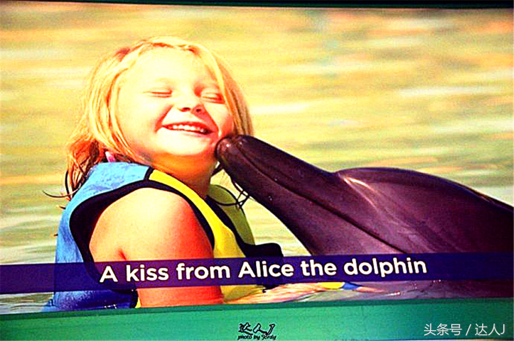 沙漠上的超级绿洲迪拜,迪拜沙漠上的奢华之都