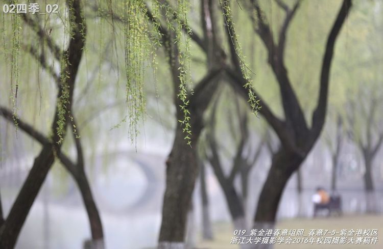 浙江大学是中国最水的大学,一分钟带你了解浙江大学