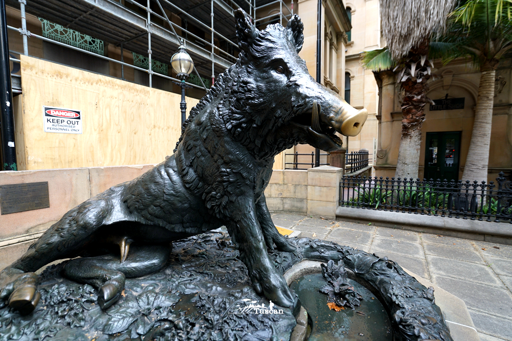 悉尼旅游攻略网红,怎么攻略悉尼