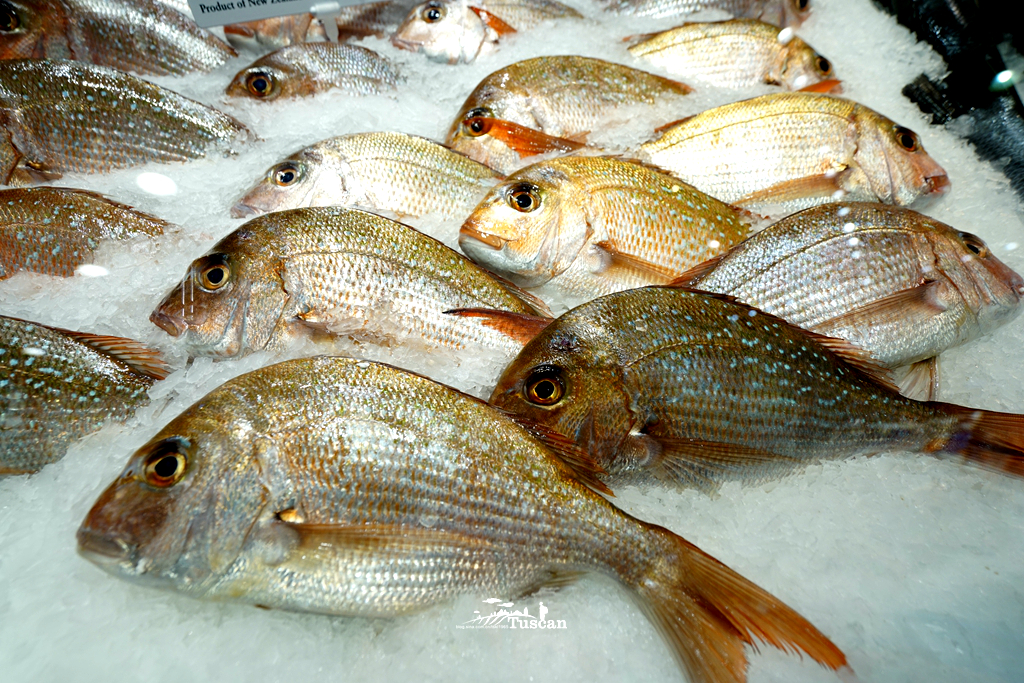 悉尼旅游攻略网红,怎么攻略悉尼