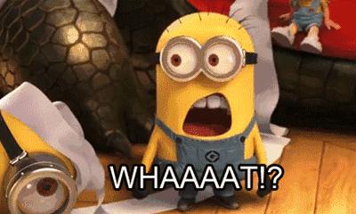 购买几千雨燕,买雨燕被坑