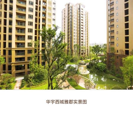 重庆华宇集团蒋杰是哪里人,华宇集团蒋杰个人资料