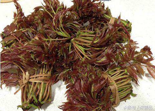 一种长在树上的野菜，营养价值名列前茅，难怪大家都爱吃！