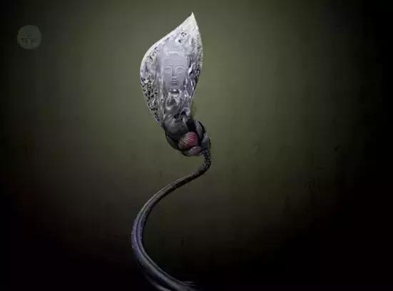 翡翠打紫光灯有荧光反应是a货吗,d货翡翠都有哪些图片