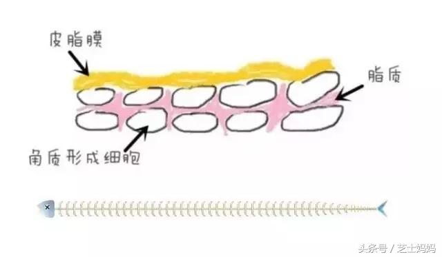 宝贝湿疹用什么药膏,宝贝湿疹怎么解决