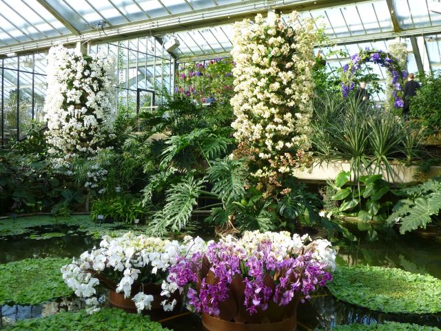 英国伦敦旅游购物攻略,伦敦旅游攻略相关推荐