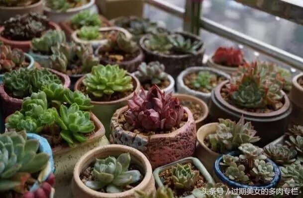 入坑一年小说,入坑一年