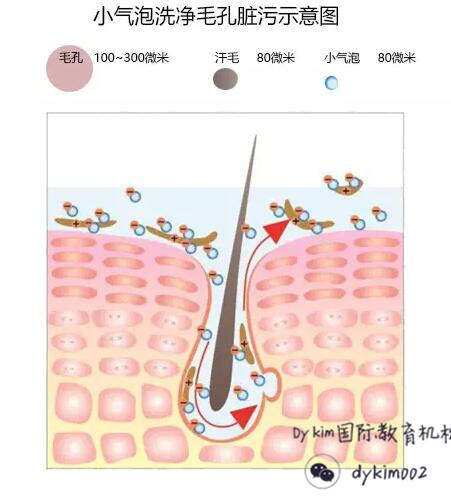 皮肤管理小气泡教程,皮肤管理小气泡使用方法