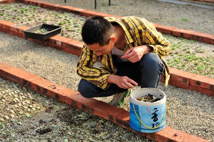 多肉新手必踩十大坑,多肉新手入坑教学视频