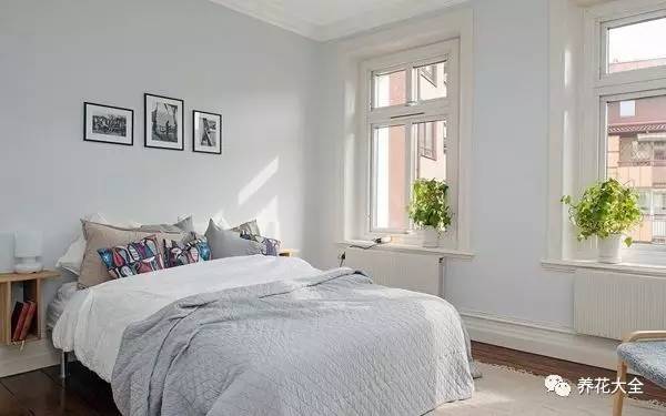 过年年宵花好卖吗,过年摆的年宵花有哪些