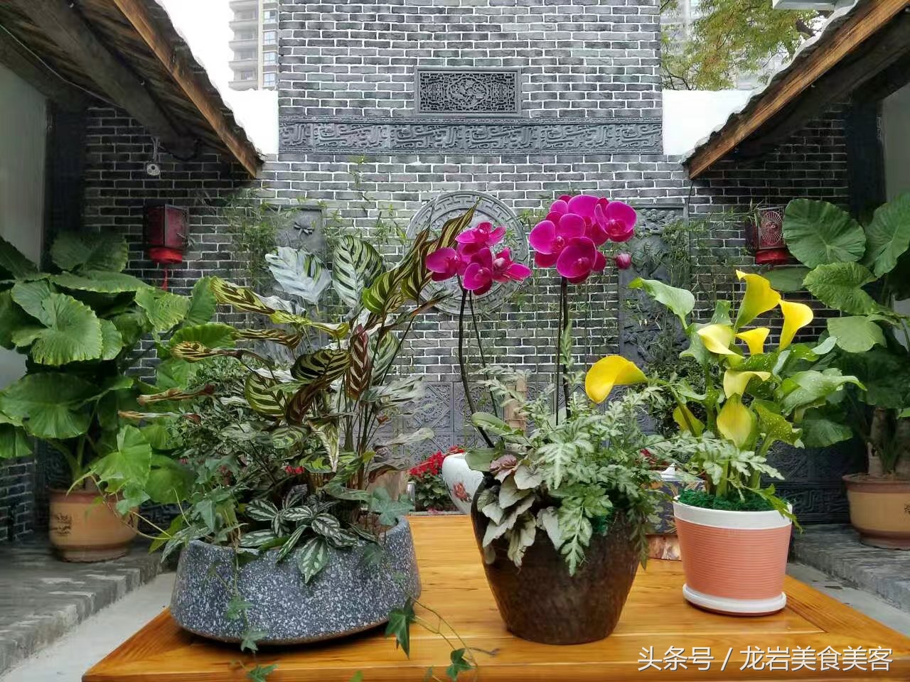 园林式客家大院,兴宁市客家院子