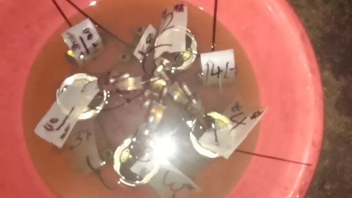 报废CBR250MC17复活