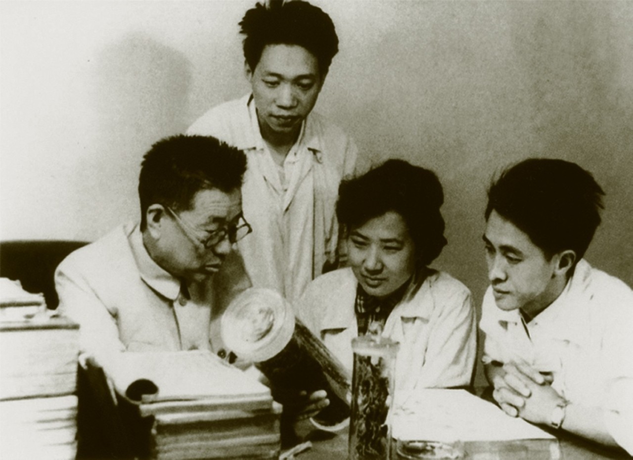 陈可冀院士全部视频,西苑医院陈可冀是国医大师吗