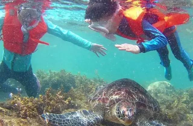 敢看吗？在北京你的工资只配样过年！