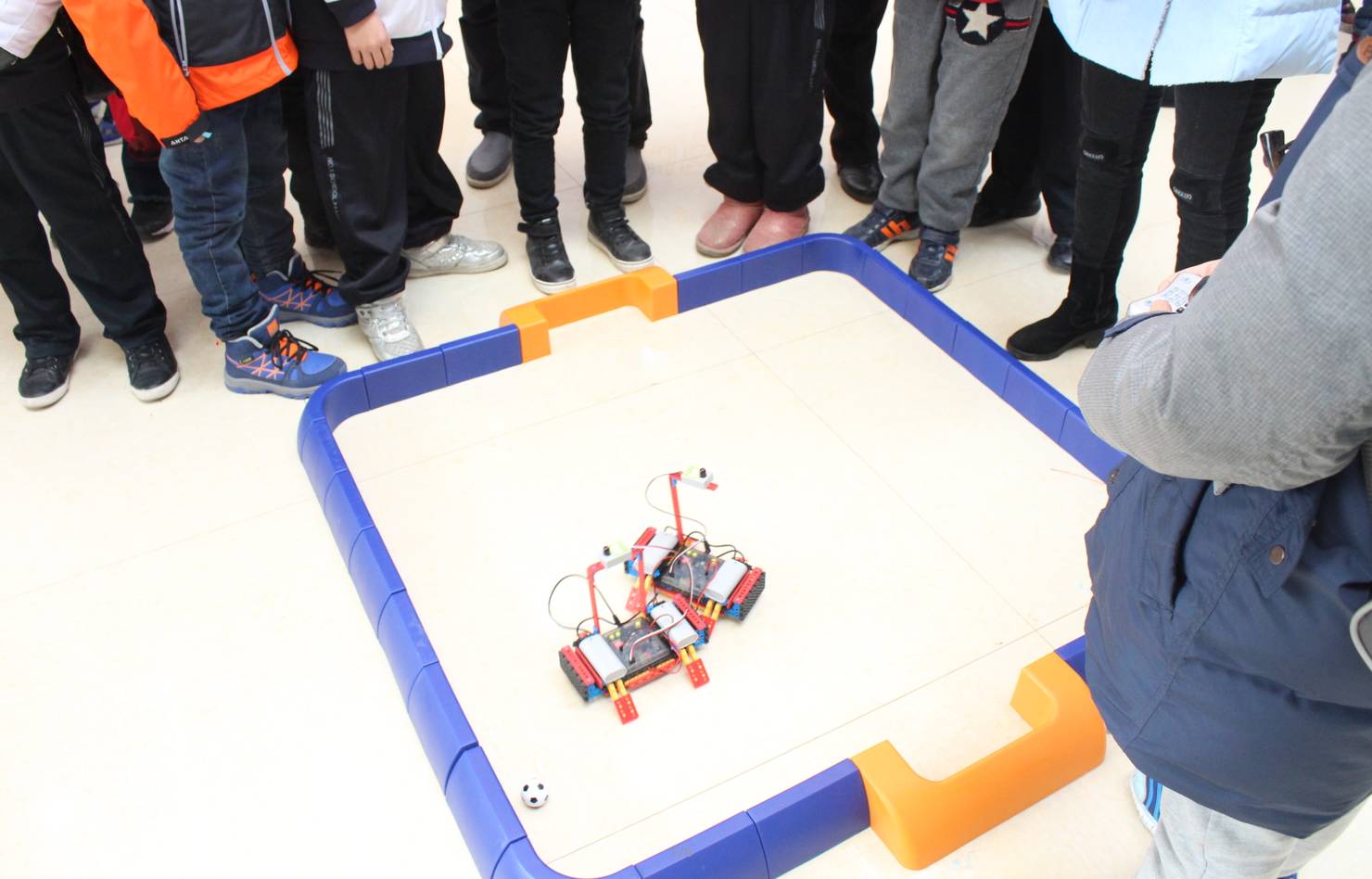 武汉东西湖区农业嘉年华,东西湖农业嘉年华