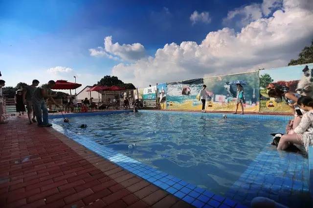 优狗宠物度假寄养房间,春节24小时宠物寄养机构价目表