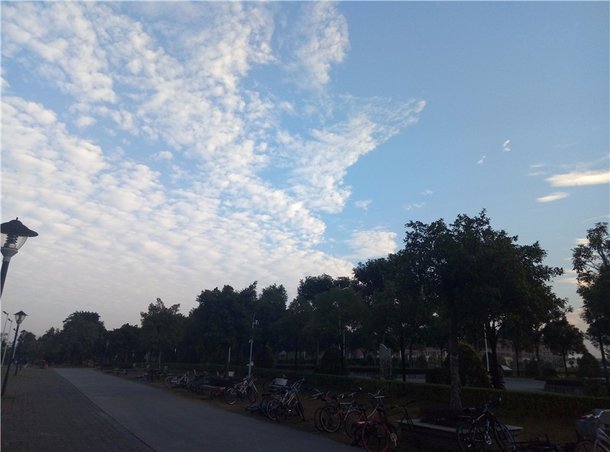 魅蓝note5是全网通4G吗,千元机魅蓝note5