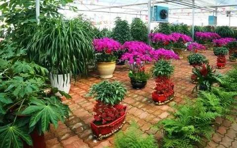 呕心整理！成都人年货采购地点最全攻略都在这！赶紧收藏！