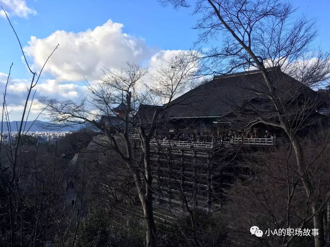 京都大阪北海道9天,大阪北海道东京攻略