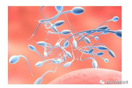 大白课|人可以有第三种性别吗?不行的话可以创造出来吗?