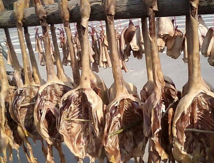 寿县特色老鹅,安徽寿县老盐鹅