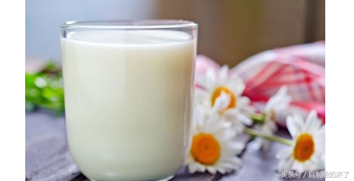 乳酸菌和酸奶哪个对肠胃好,乳酸菌会破坏肠胃吗