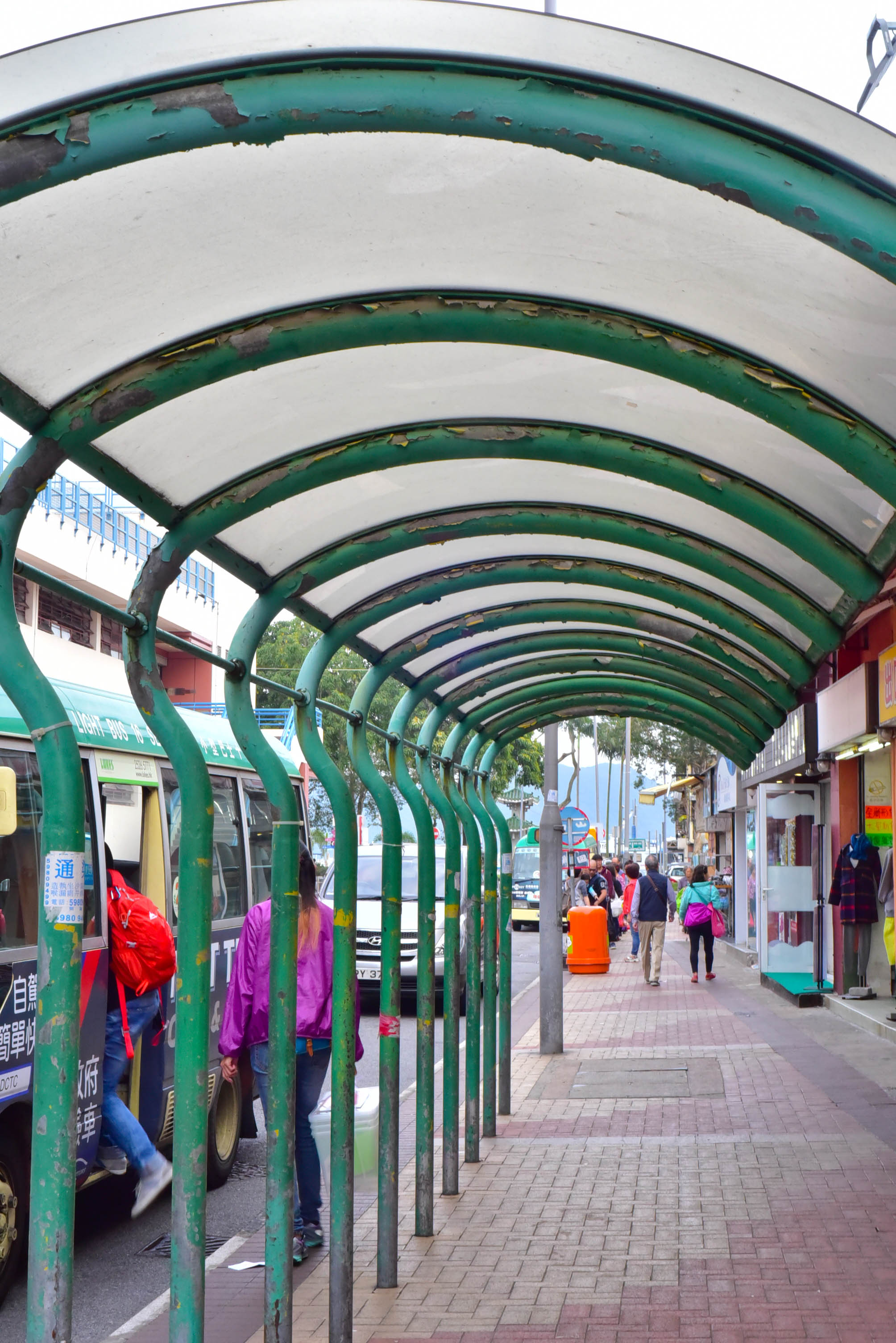 兔子游云南,兔子游老君山视频