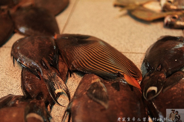 在外国街头演唱中国乐器,在外国街头演奏市集音乐