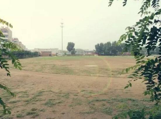 久违了足球场,告别足球场