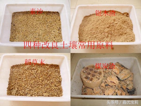 花盆土太硬怎么办,花盆小了土太硬怎么移植