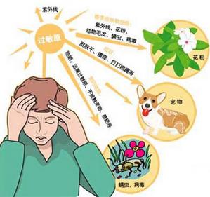 过敏痤疮的治疗方法,过敏痤疮怎么治才能彻底根除