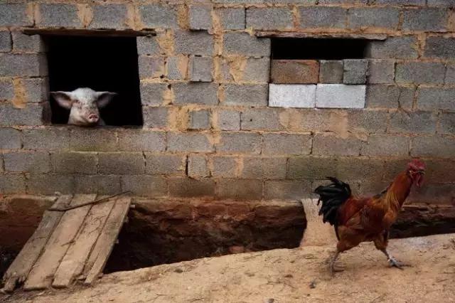 李劲松昭通,昭通李劲松