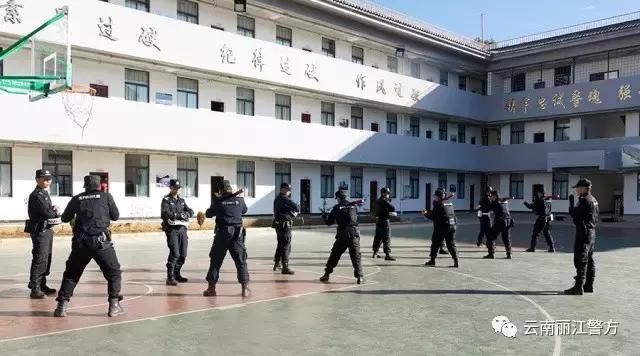 特警的一天生活,特警的一天完整版