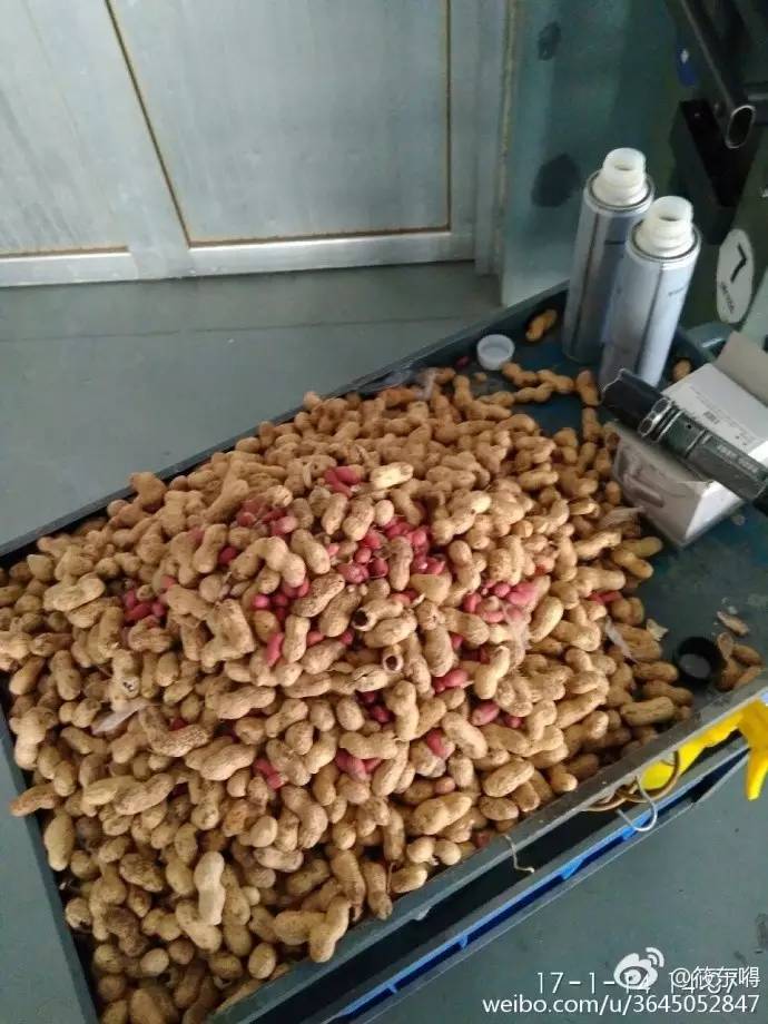 今天这只偷花生的老鼠火了，网友这次都站老鼠