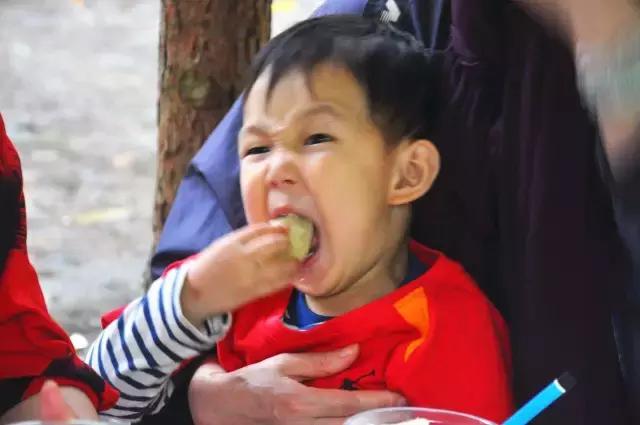 田螺姑娘在水里,水缸里的田螺姑娘