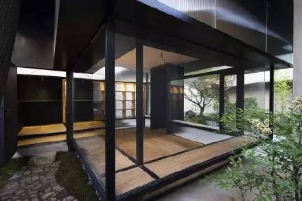 微观茶市丨古茶树安装GPS定位意义何在？