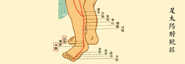 字里藏医书籍,字里藏医中医知识