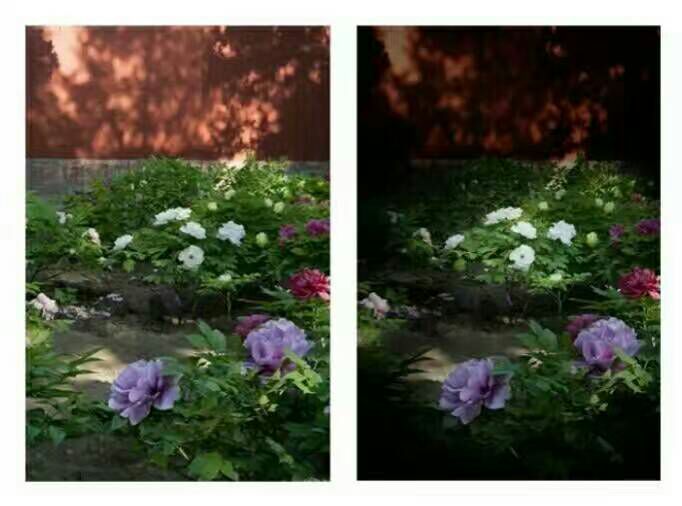 看完这些摄影作品点评，你的摄影技能会有大幅提升