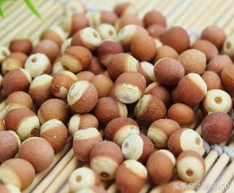 祛湿气的三大克星,这东西除甲醛效果再好也不建议用