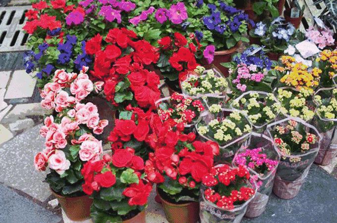 深圳全年货采购地，性价比非常高哦！