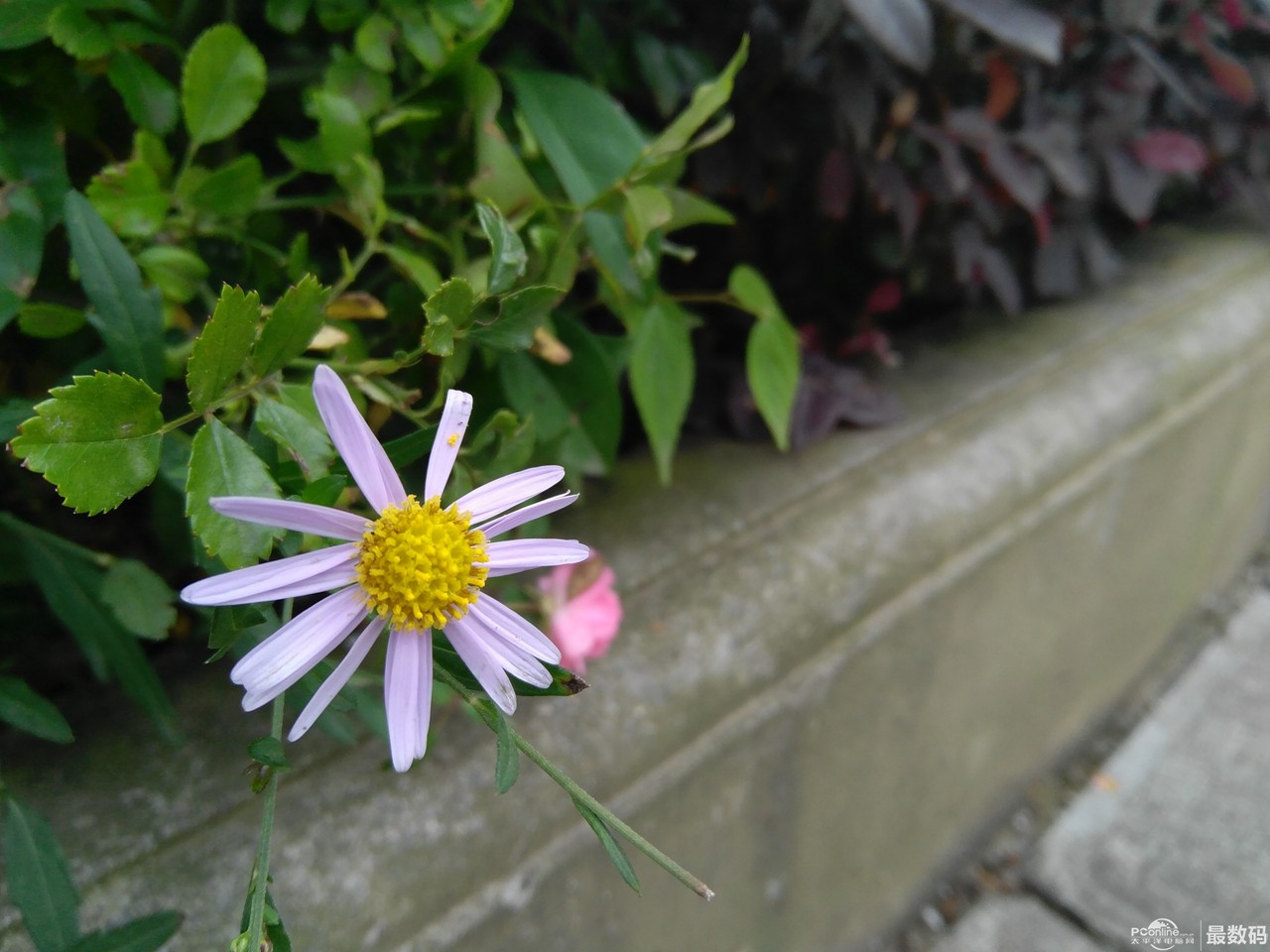 联想zukz2对比联想zukedge,联想zukz2值得买吗