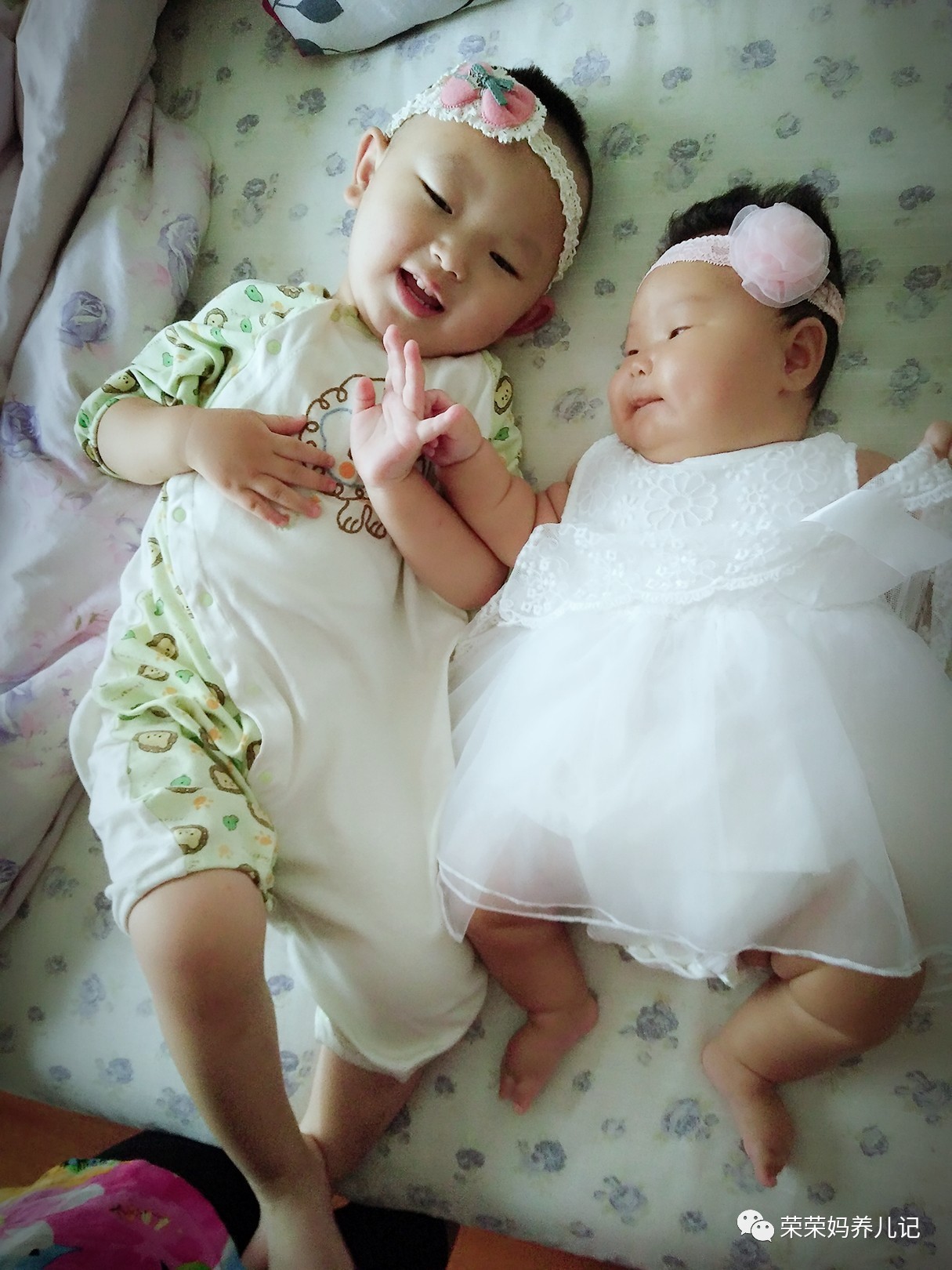 过年怎能不虐狗,逗比兄妹的年终总结