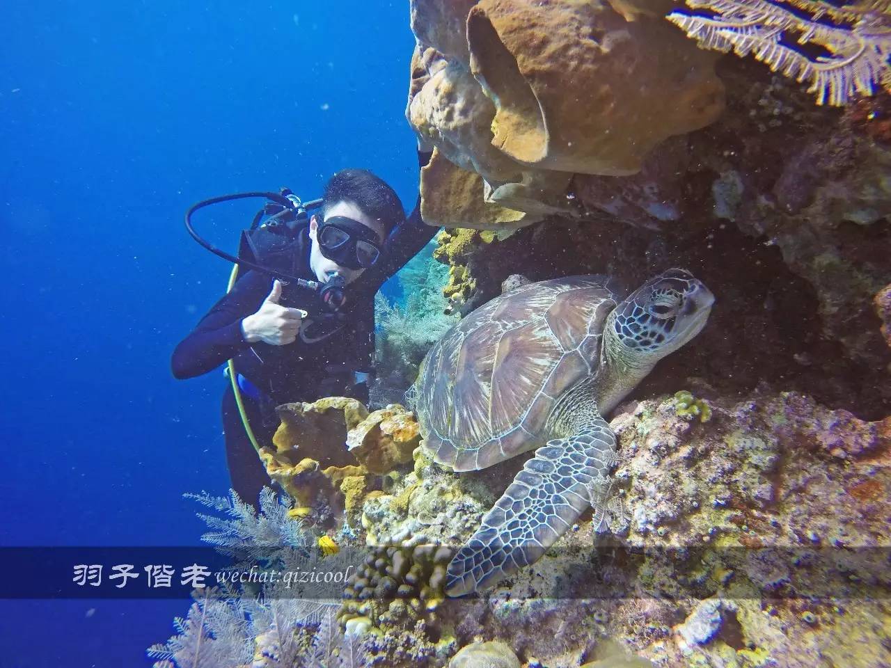 美娜多海岛一日游,印尼美娜多跟团游