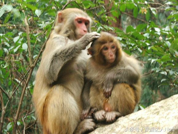 周末旅游攻略,旅游攻略让你的旅行轻松又美好