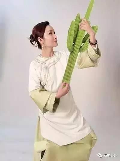 求大神p图结果变成搞笑图,求大神p图的后果