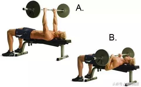 需要增肌和减脂要怎么计划,美国健身冠军12周减脂增肌计划