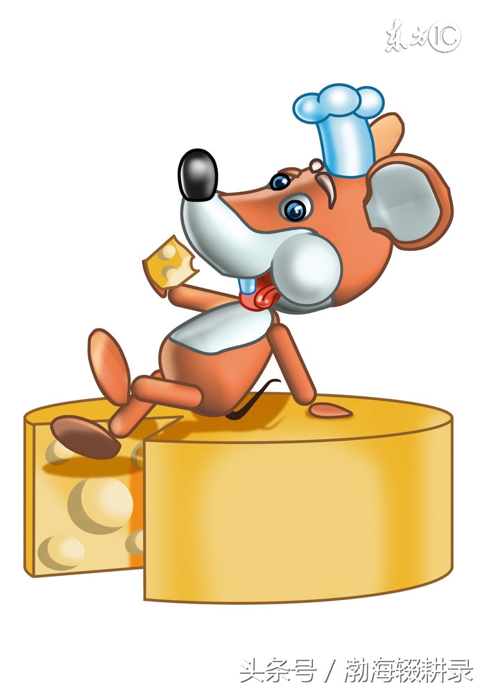 属马与谁相合相冲相害相刑,相冲相合命理