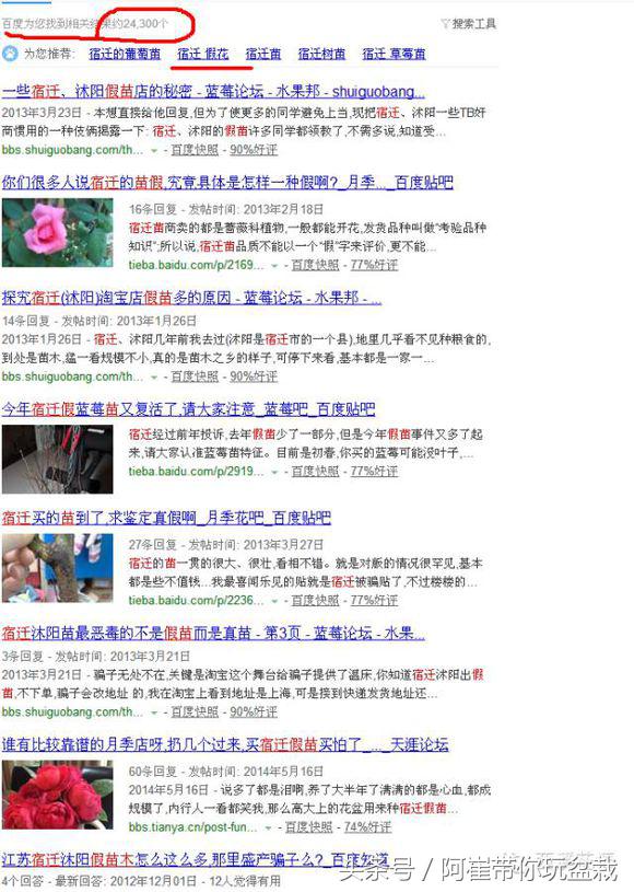 网购的小玫瑰盆栽能养活吗,网购收到玫瑰盆栽记得这样操作